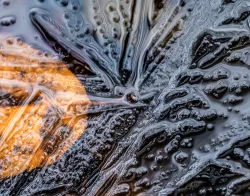 First ice Photo: Steven Arcone