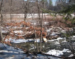 17_whetstone_Brook.jpg