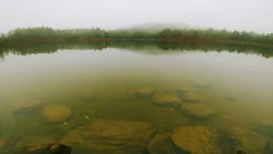 18_november_fog.jpg