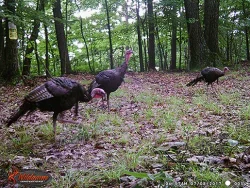 19_wgi_0014.jpg