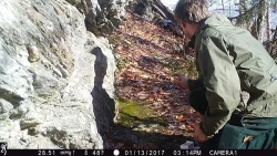 1IMG_0205_w.jpg Photo: Northern Woodlands
