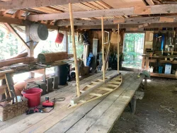 Birchbark build