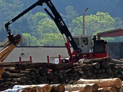 22_loading_logs.jpg