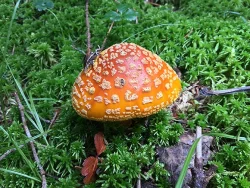 23_IMG_7599.jpg