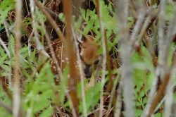 23_dsc_0362.jpg