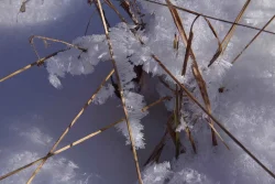 Snow Triangle Photo: AM Dannis