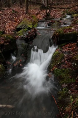 24_ph_0343_freshet_.jpg