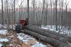 25_dm_logging_birdsong_web.jpg
