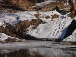 25_river_otter_slide.jpg