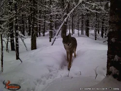 26_wgi_0056.jpg