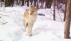 27_wgi_0009dee.jpg