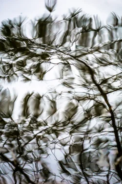 Ripples Water Photo: Northern Woodlands