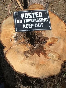 29_sign_on_wood.jpg