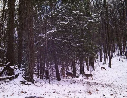 29_wgi_0008a.jpg