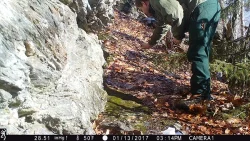 2IMG_0207_w.jpg Photo: Northern Woodlands