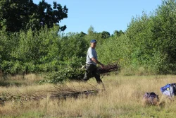 Crow Hill Photo: Greater Worcester Land Trust