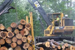 2_Excavator.jpg Photo: Northern Woodlands