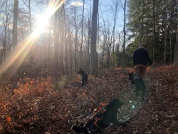 Forest Landowner Walking Photo: Andrew Sheere