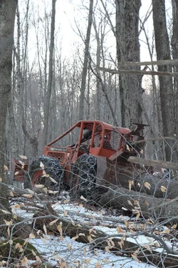 2_dm_logging_web.jpg