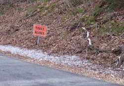 2_frost_heaves.jpg