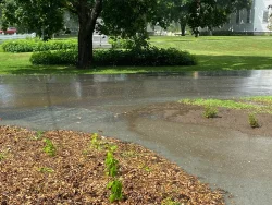 Rain runoff Photo: Nancy Farwell
