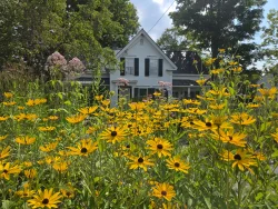 Front blooms Photo: Emily S. Rowe