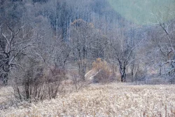 New Snow Photo: John Snell