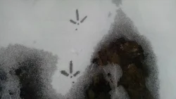 30_img_20170401_091558350.jpg