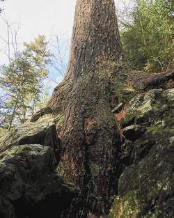 30_img_4086.jpg