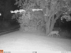 31_08260218_ufo_3_frames.jpg