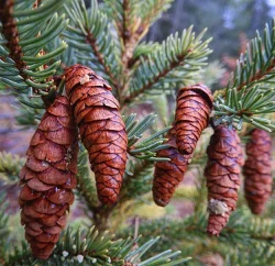 31_img_3571.jpg