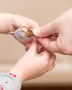 31_taping-the-gall.jpg