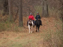 Horseback Riders Photo: Charlie Schwarz