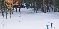 34_groomer.jpg
