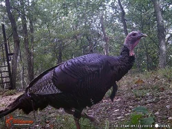 35_wgi_0009.jpg