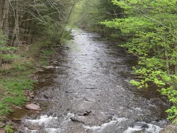 36_little_muncy_creek_-_lycoming_co.jpg