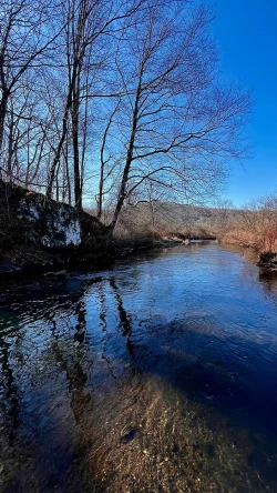 Williams River Photo: Matthew DeLuca
