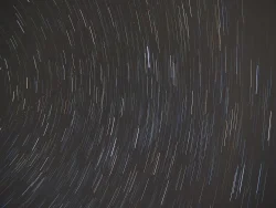 Stars Photo: Ross Lanius
