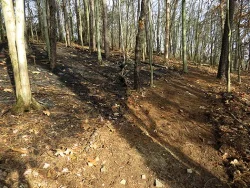 39_fireline.jpg
