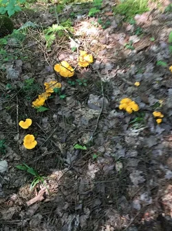 39_img_5365.jpg