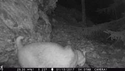 3IMG_0238_w.jpg Photo: Northern Woodlands