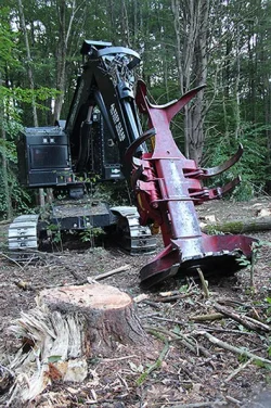 3_Excavator.jpg Photo: Northern Woodlands