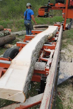 3_Timber_Frame.jpg Photo: Alexandra Murphy