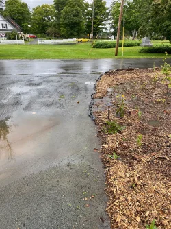 Garden flooding Photo: Nancy Farwell