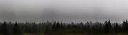 44---untitled_17-09-25_0668-Pano.jpg