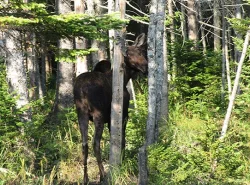 45_img_2903.jpg