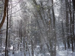 47_snow_cascade_sm.jpg