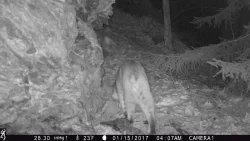 4IMG_0240_w.jpg Photo: Northern Woodlands