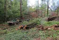 4_Excavator.jpg Photo: Northern Woodlands