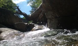 4_sawyer_river_june.jpg